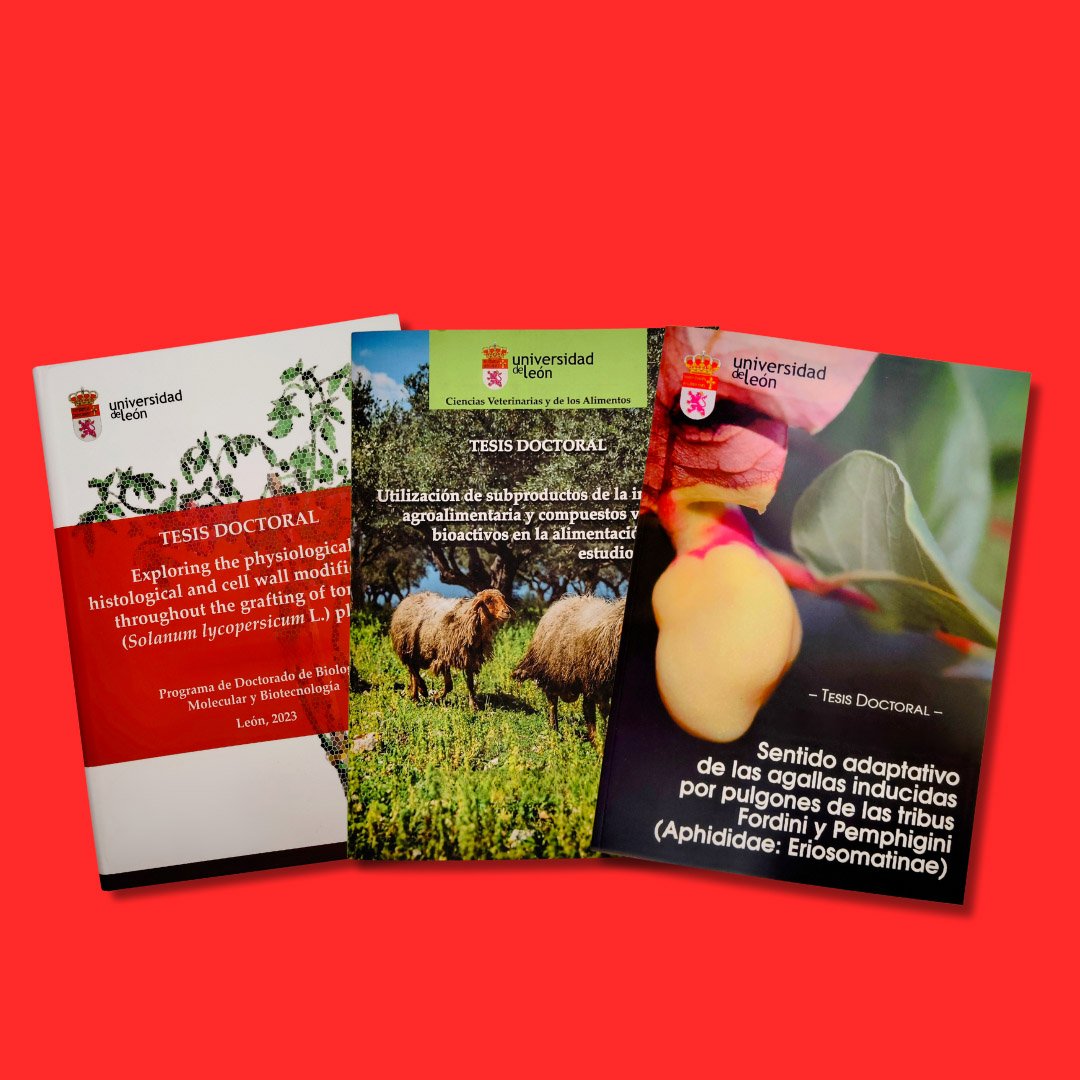 foto con fondo rojo, de la `portada de tres tesis doctorales distintas